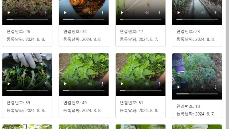 Firebase 배우기 39 – 파이어베이스에 OTT비슷한 동영상 라이브러리 만들기 – 동영상 업로드 및 선택적 재생 구현하기